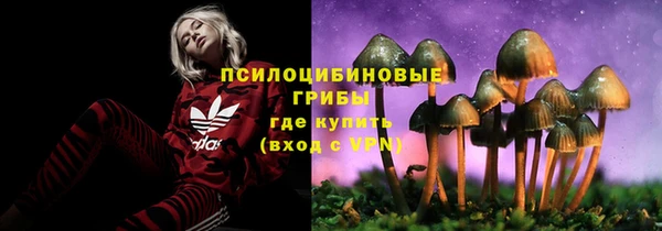 дурь Алексин