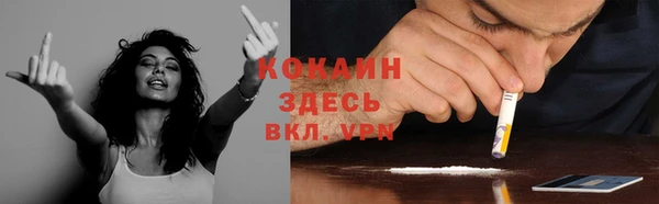 дурь Алексин