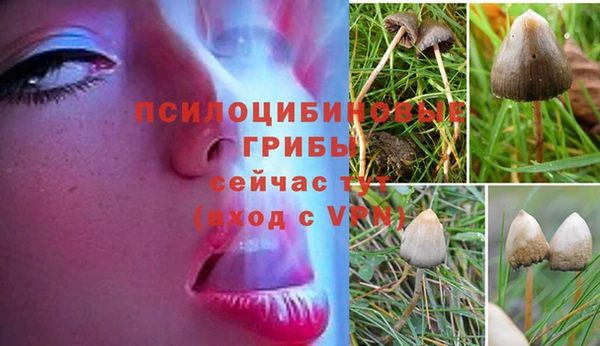 винт Алексеевка