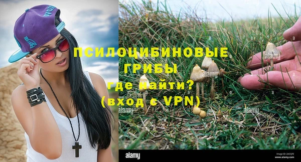 ALPHA PVP Алзамай