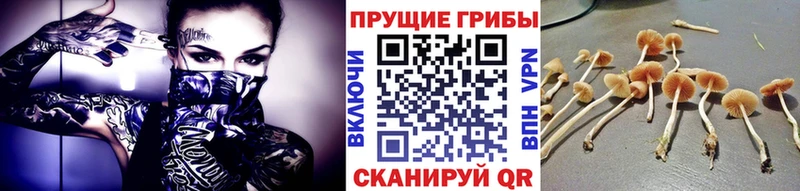 Галлюциногенные грибы MAGIC MUSHROOMS  ссылка на мегу сайт  Себеж 